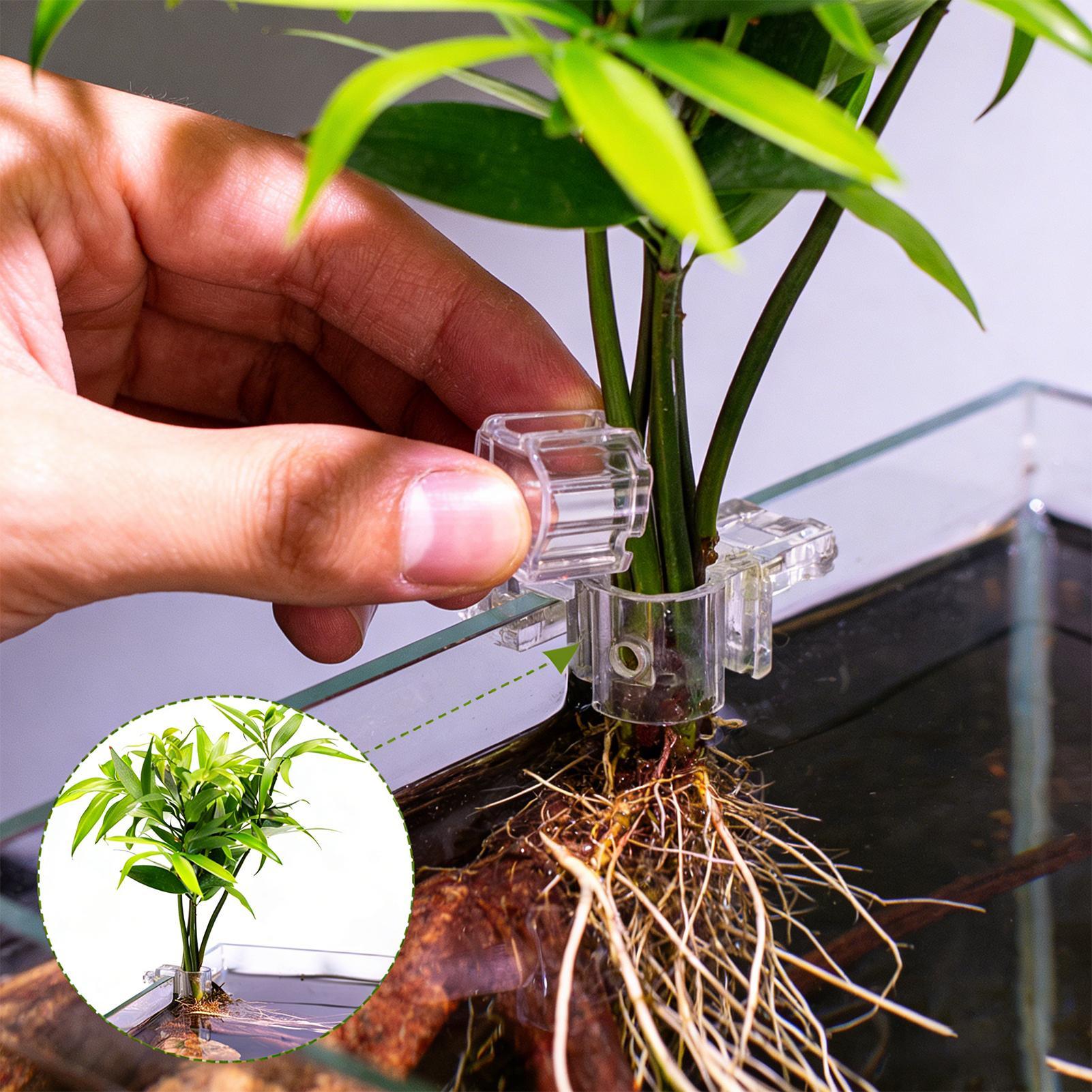 Soporte para Plantas de Acuari - Tablet Accessories For Girls reseña y precio